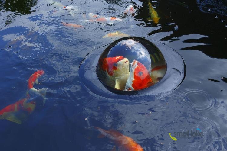 Плавающая сфера для рыб, малая Floating Fish Sphere small