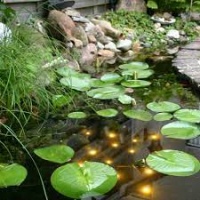 Декоративная подсветка Welkin Pond Light от АКВА ТЕХНОЛОДЖИ